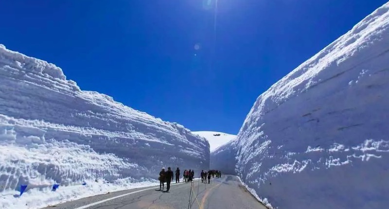 2019年日本立山黑部・阿爾卑斯路線4月15日開放，來去看雪牆囉！