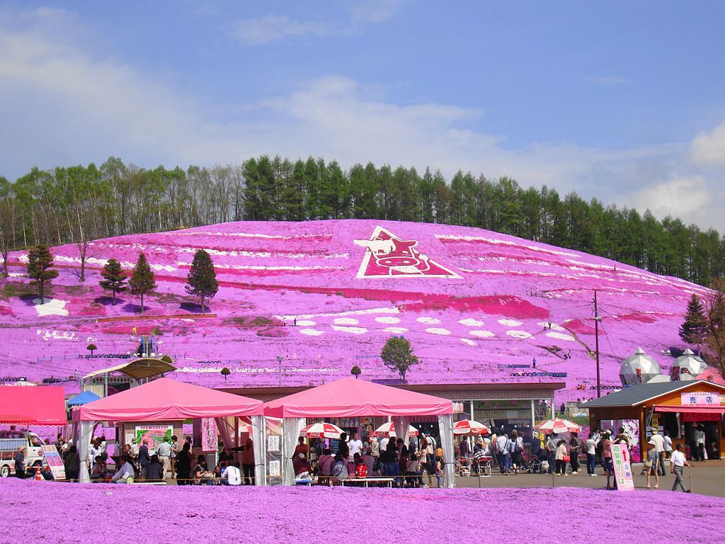 來去北國賞芝櫻！北海道道東走跳之旅~